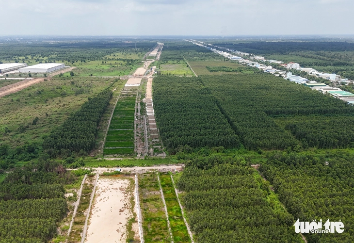 vành đai 3 - Ảnh 1.