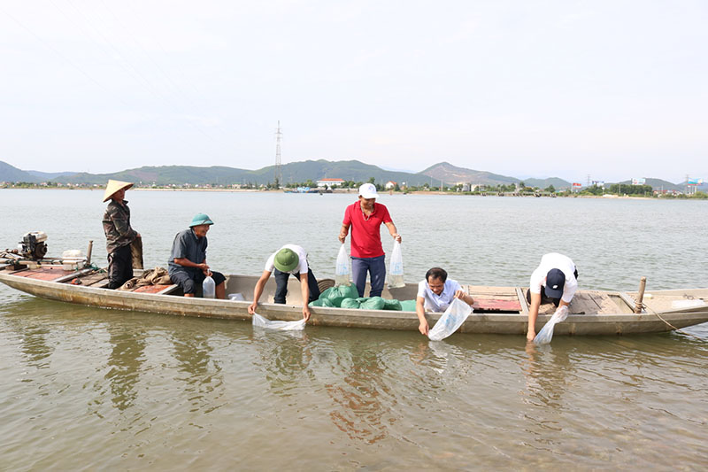 Thả tôm giống trên lưu vực sông Gianh.