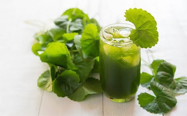 Các loại đồ uống giúp sĩ tử giải nhiệt trước khi đi thi  - Ảnh 3.
