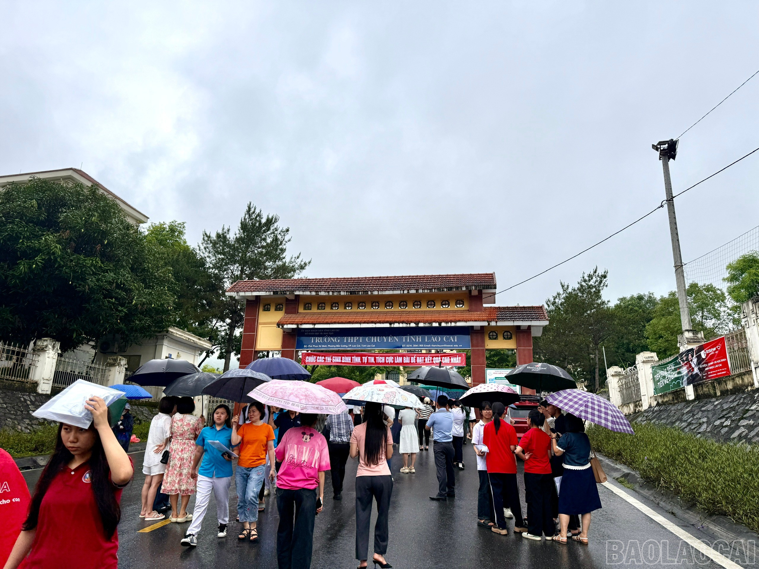 baolaocai-br_z6672054740522-fcd3d75b59bc1e6f7c0e23e1a7eafb55.jpg