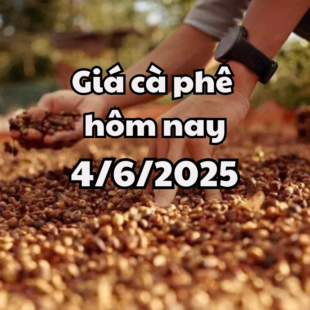 El precio del café hoy 4 6 2025 no puede mantener el antiguo pico de precios