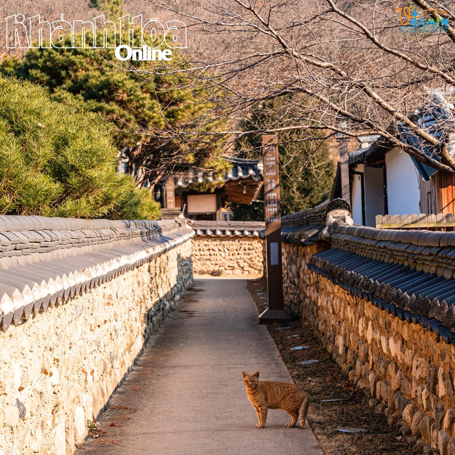 Beautiful scenery in the ancient village of Otgol