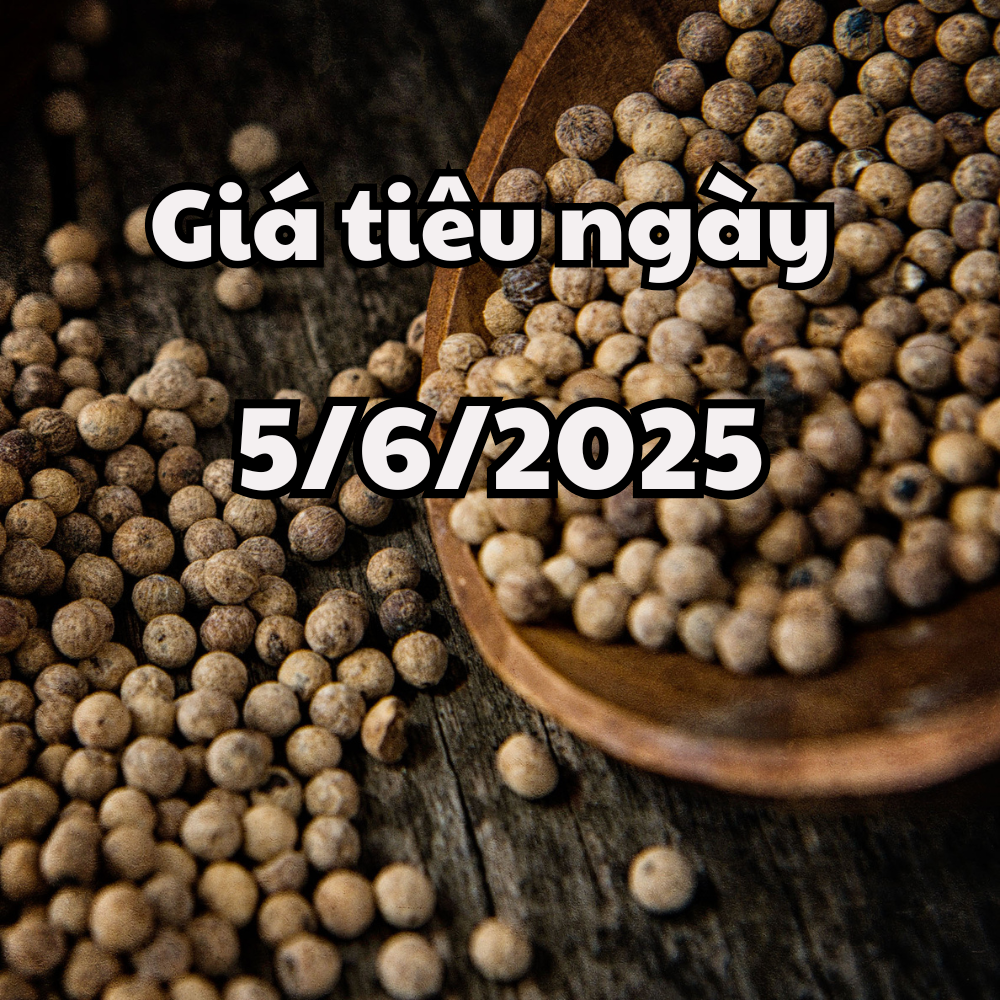 News, forecast of pepper price tomorrow 5 6 2025 stagnant in the country