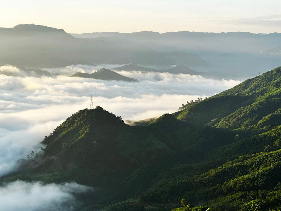 5du-may-trang.jpg
