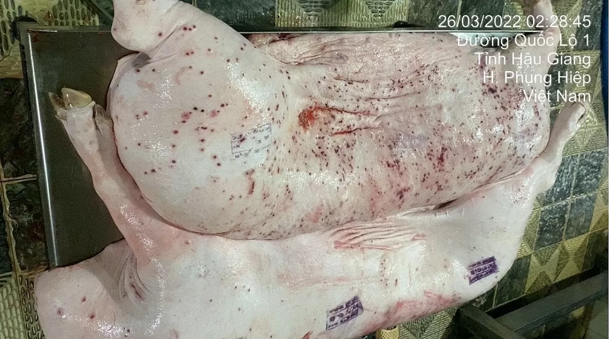 ภาพหมูป่วยถูกแชร์กันในโซเชียลมีเดียบนเฟซบุ๊กโดย Jonny Lieu ในช่วงไม่กี่วันที่ผ่านมา ภาพจากเฟซบุ๊ก Jonny Lieu