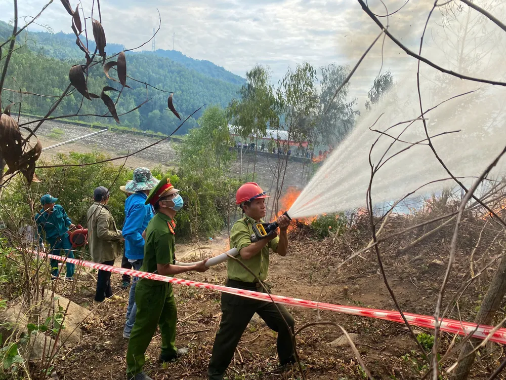 Nắng nóng, cảnh báo cháy rừng ở Quảng Ngãi