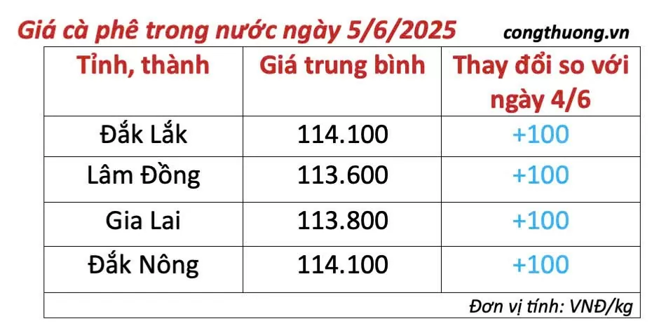 Dự báo giá cà phê ngày mai 6/6/2025, đà tăng trở lại