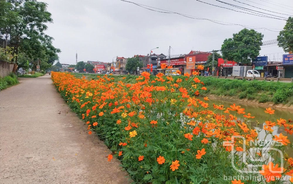 Tuyến đường hoa của tổ dân phố Úc Sơn.