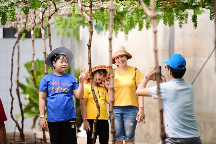 dân số - Ảnh 2.