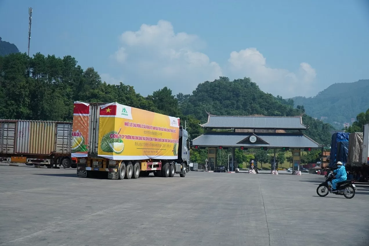 ‘Cánh tay nối dài’ đưa nông sản Việt sang thị trường tỷ dân