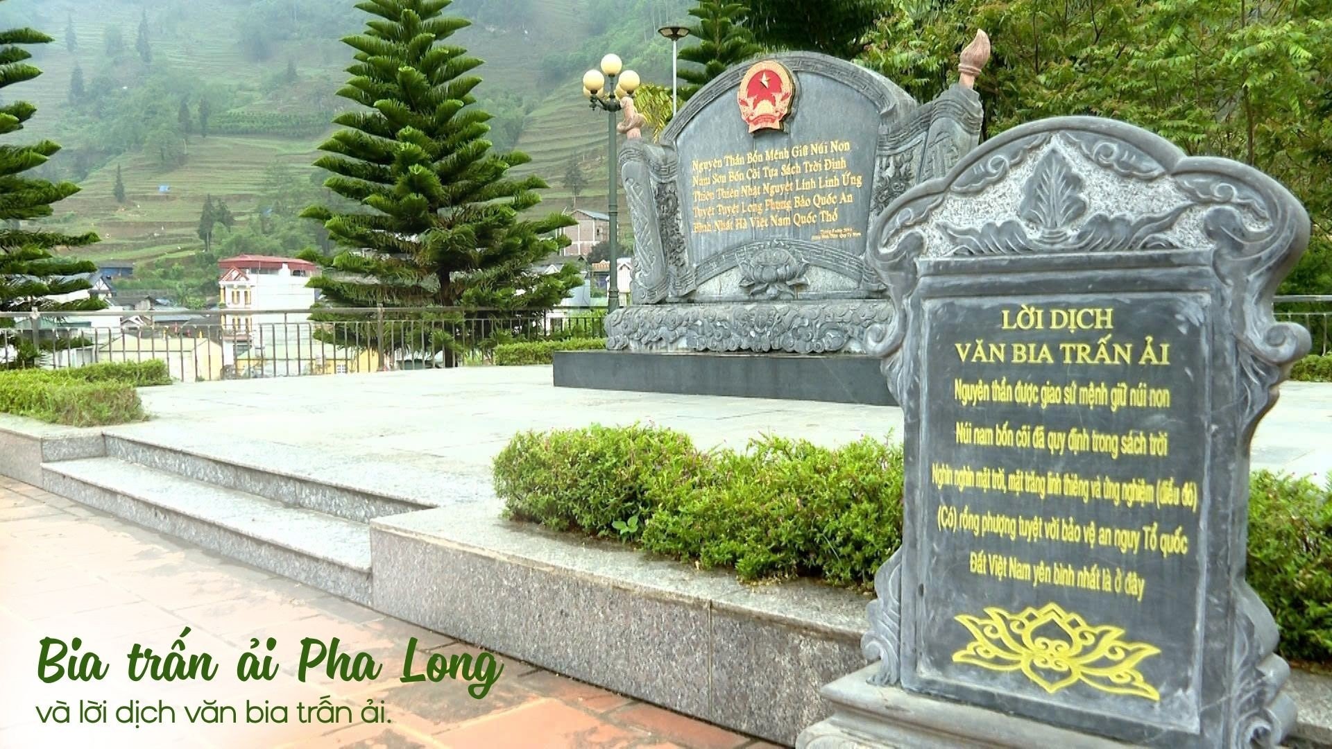 5-3166.jpg