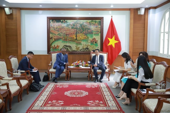 Thứ trưởng Hoàng Đạo Cương tiếp và làm việc với ứng cử viên Tổng giám đốc UNESCO - Ảnh 3.