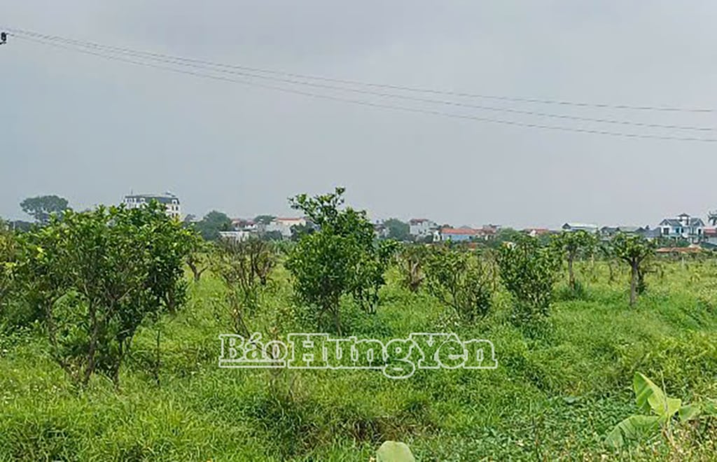 Hiện trạng đất trong phạm vi GPMB dự án Cụm Công nghiệp Đồng Than