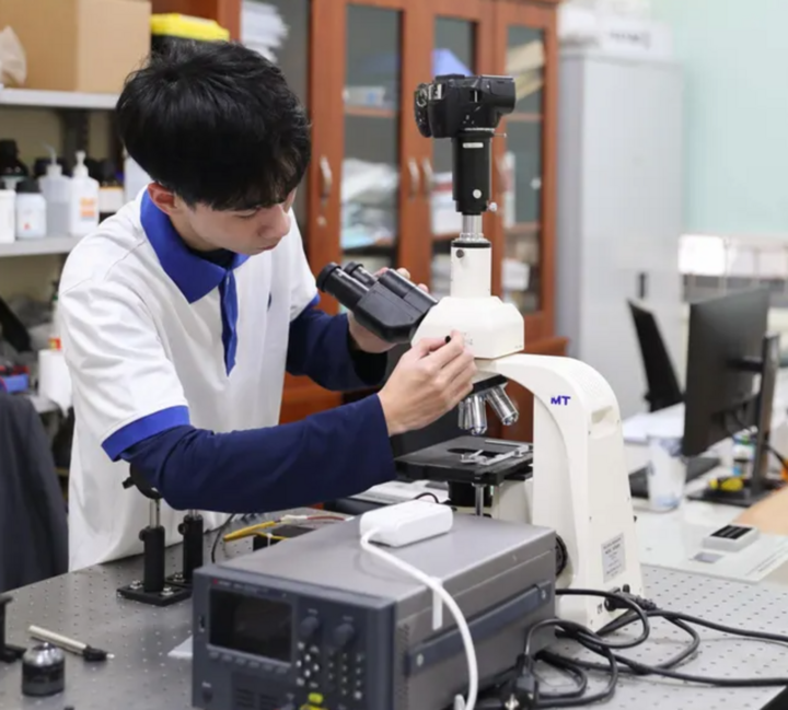 Nghiên cứu khoa học cần thực chất, trung thực. (Ảnh minh họa: Anh Thư)