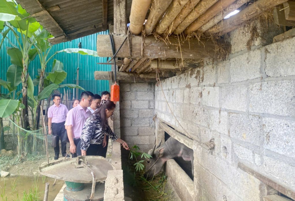 Đoàn kiểm tra, giám sát Ban đại diện kiểm tra tình hình sử dụng vốn vay của người dân tại xã Phi Hải (Quảng Hòa).