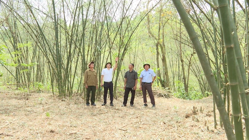 Người dân đang hết sức lo lắng, bởi đây là điều chưa từng xảy ra và cũng chưa có giải pháp để diệt châu chấu.
