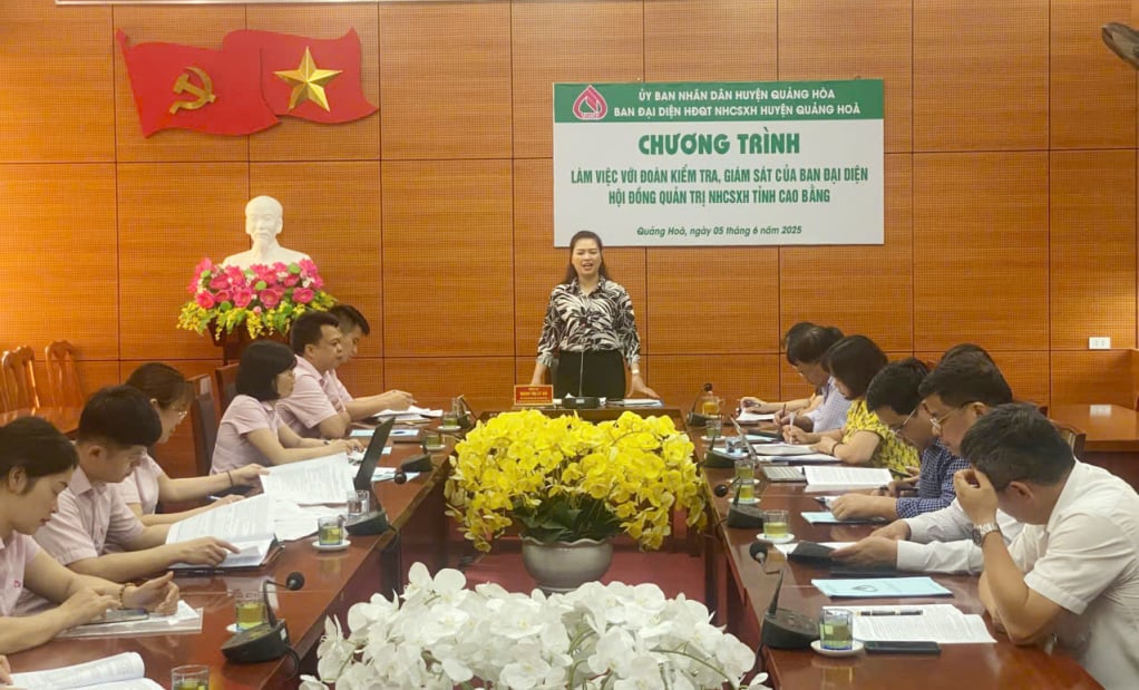 Ban đại diện Hội đồng Quản trị Ngân hàng Chính sách xã hội tỉnh làm việc tại huyện Quảng Hòa. 