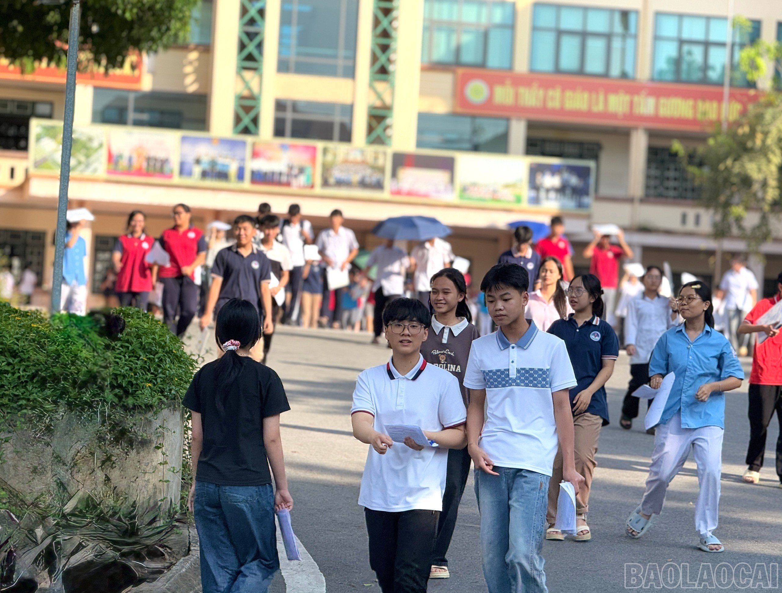 baolaocai-br_z6675483819585-af609ab72f96d995c3567db8bc410d38.jpg