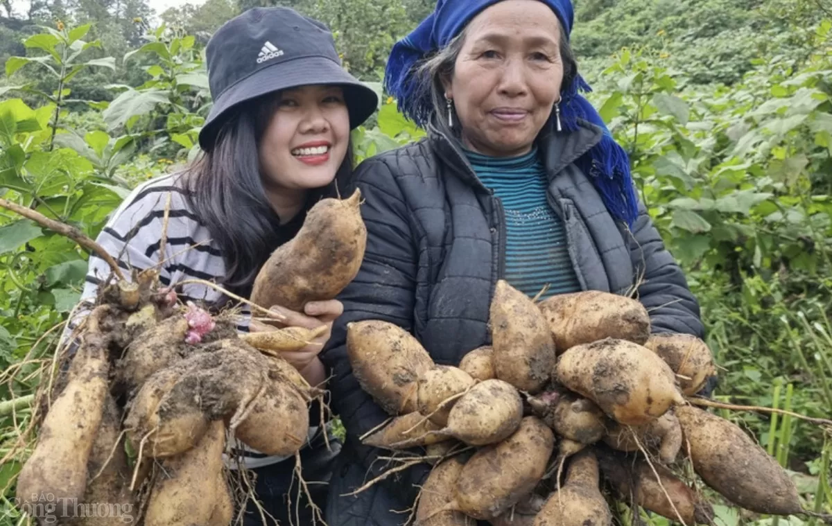 រូបភាពរបស់ក្មេងស្រី 9X ដែលជួយមនុស្សនៅតំបន់ខ្ពង់រាបផ្លាស់ប្តូរជីវិតរបស់ពួកគេ។