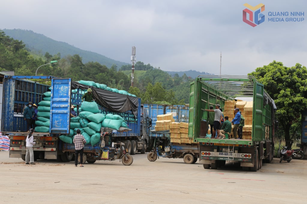 Bốc xếp hàng hoá XNK tại cửa khẩu Hoành Mô