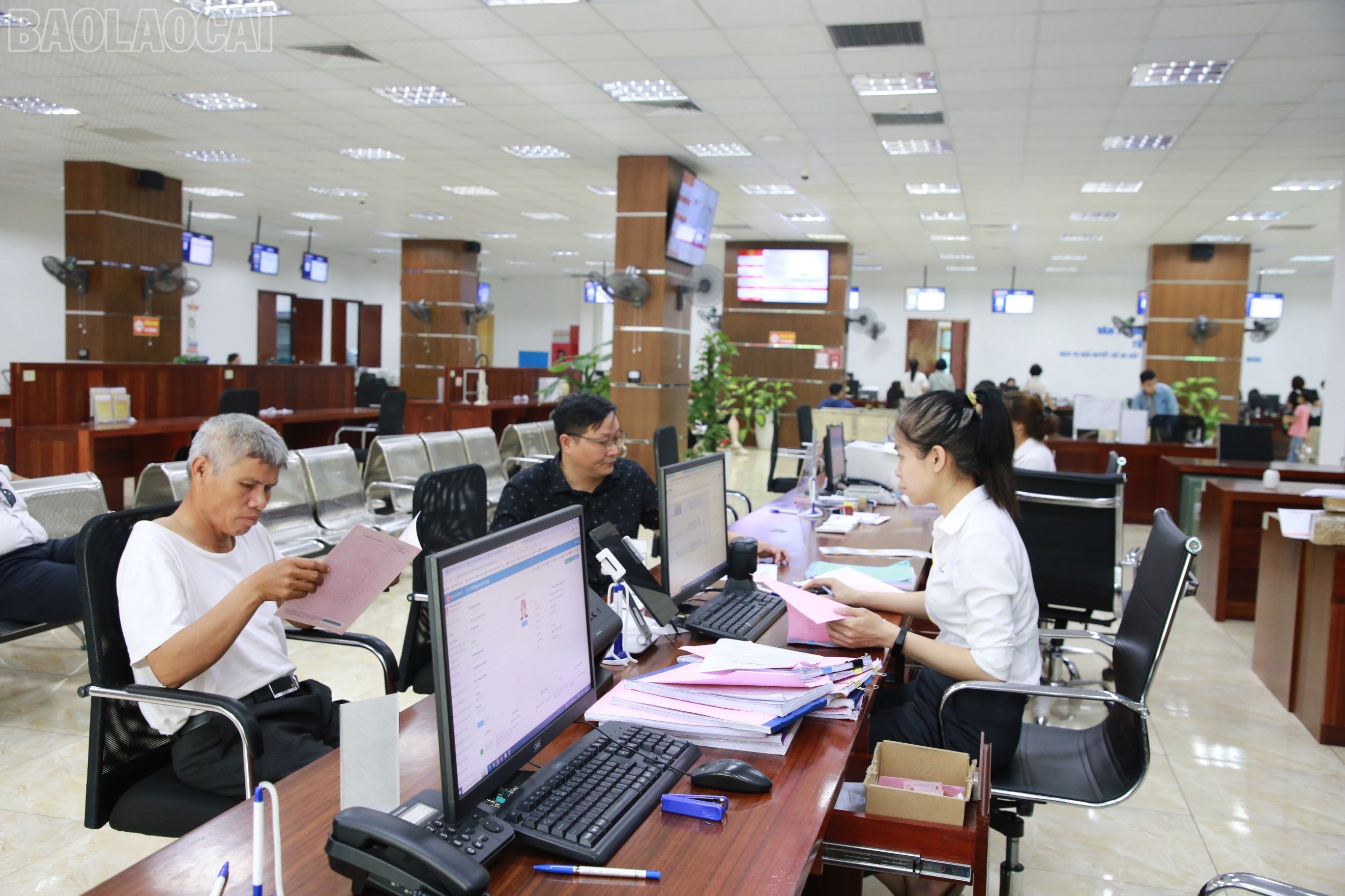 baolaocai-tl_img-8779.jpg