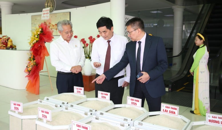 Xuất khẩu 'Gạo Việt xanh, phát thải thấp' đầu tiên sang Nhật Bản- Ảnh 2.