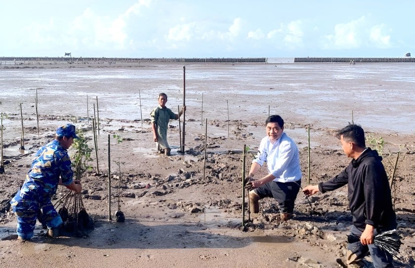 Ông Cao Đức Phát - nguyên Bộ trưởng Bộ NN&PTNT, Giám đốc Quỹ cộng đồng phòng tránh thiên tai (thứ hai từ phải sang) trồng cây tại khu vực ven biển Nhà Mát (phường Nhà Mát, TP Bạc Liêu) - Ảnh: H.T).