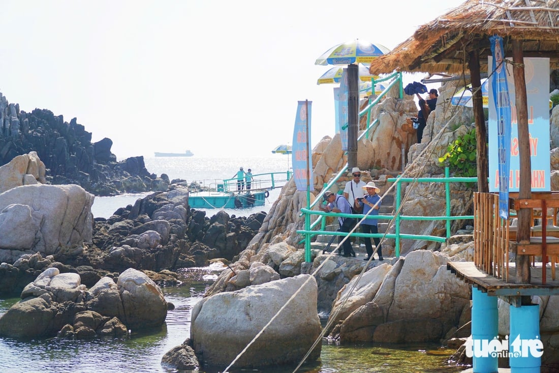 yến sào - Ảnh 3.
