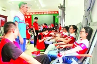 Les jeunes de la compagnie pétrolière Thanh Hoa ont répondu au programme « Red Journey - Connecter le sang vietnamien ».