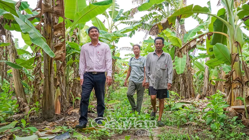 លោក Huynh Thanh Hung (គម្របស្តាំ) បានខ្ចីដើមទុនពី TDCS ដើម្បីវិនិយោគលើការដាំចេកដើម្បីទទួលបានប្រាក់ចំណូលស្ថិរភាព។