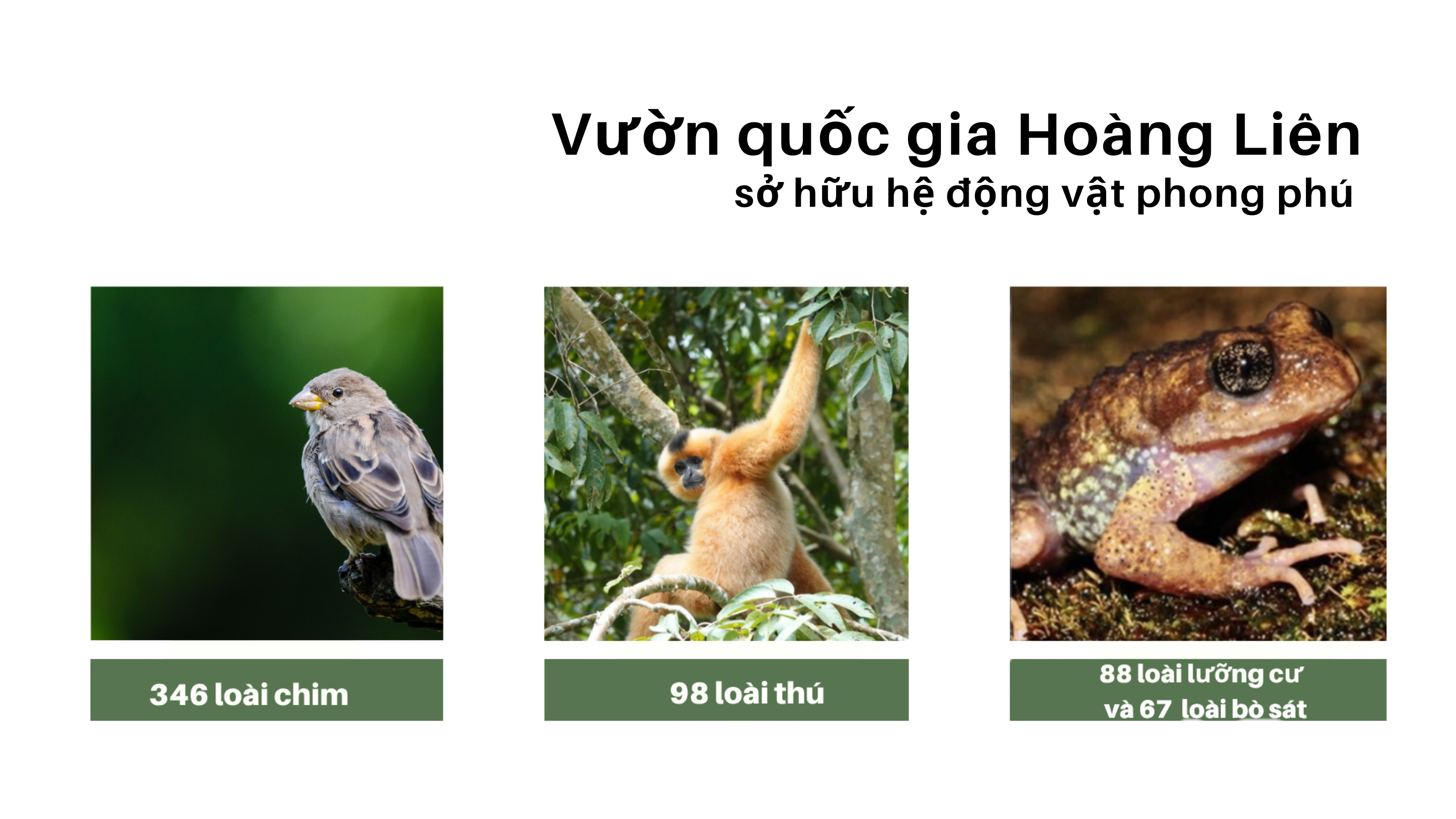 vgg.png