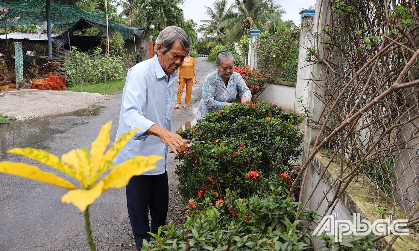 Chung tay trồng hoa, vệ sinh môi trường các tuyến đường tại ấp Mỹ Thạnh, xã Hoà Định.