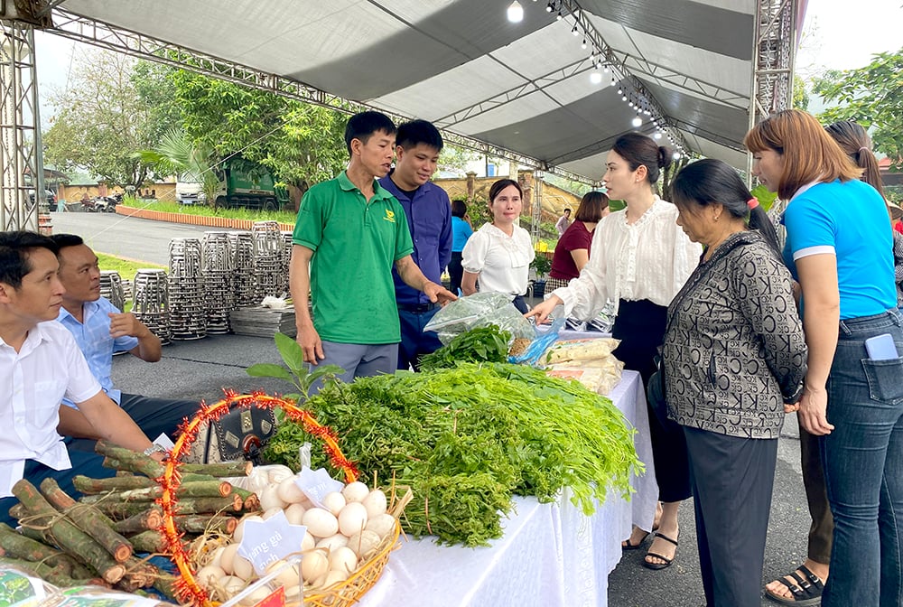 Người dân thăm quan, mua sắm tại các gian hàng trưng bày, giới thiệu các sản phẩm nông sản.jpg