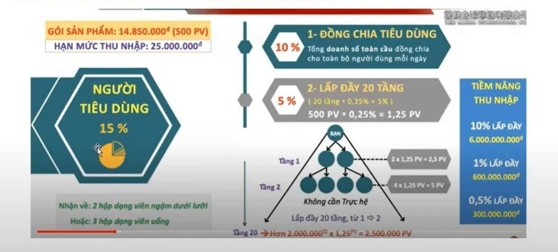Ame Global 조직의 재정 정책