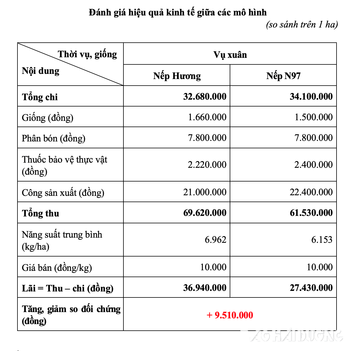 lua-nep-huong-4.png