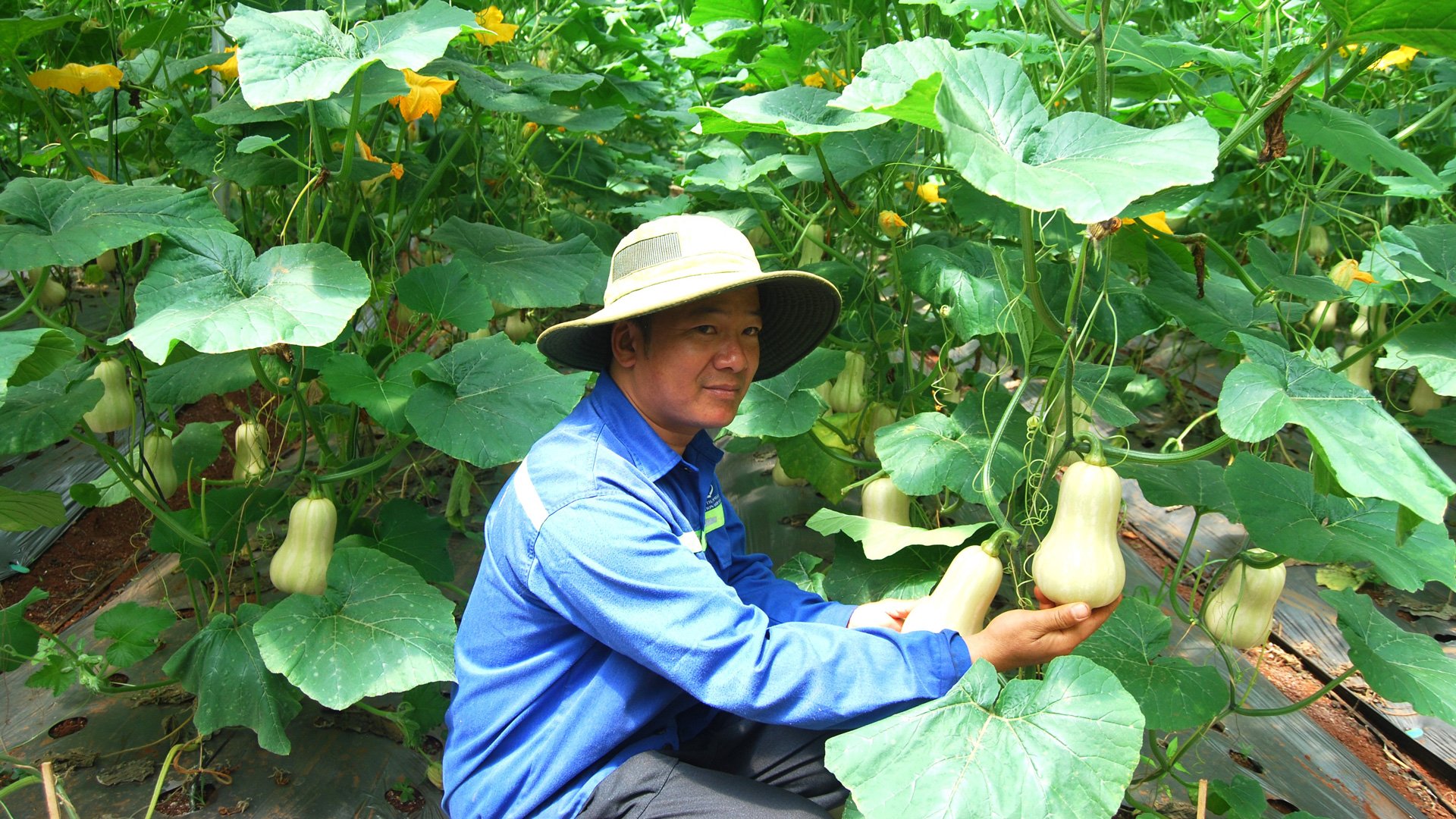 Cần triển khai kịp thời chính sách hỗ trợ doanh nghiệp chuyển đổi sang mô hình sản xuất sạch hơn, 
góp phần cải thiện chỉ số xanh cấp tỉnh (PGI)