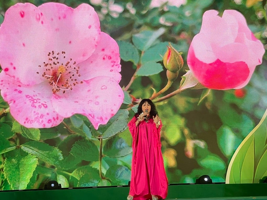 Thanh Lam, Việt Hoàn thăng hoa trong đêm nhạc hát vì môi trường - 2