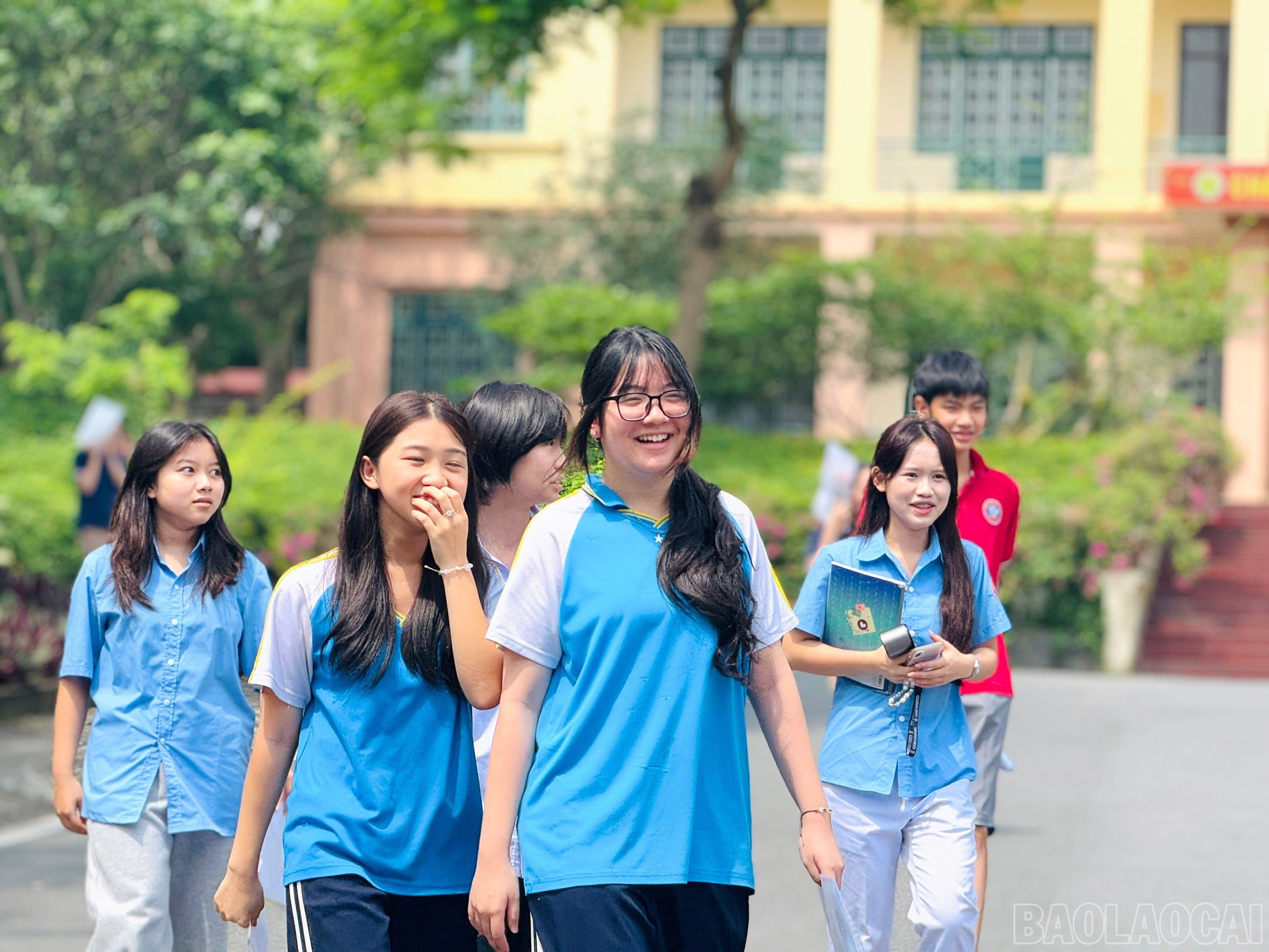 baolaocai-br_z6677263785903-2fcc9e9b9e0cf3c378fa1797f1a1bf0e.jpg