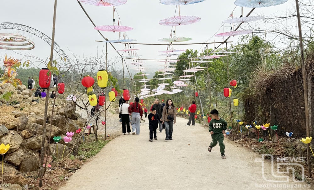 Die Straße zum May-Trang-Tempel – ein friedlicher, ruhiger Tempel im Weiler Bau.