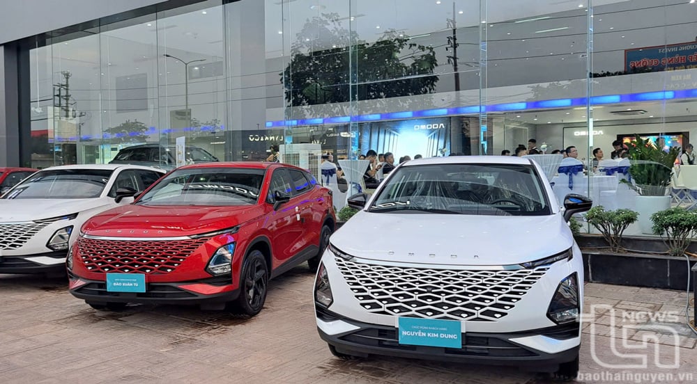 Omoda & Jaecoo គឺជាម៉ាករថយន្តចិនដំបូងគេដែលសាងសង់រោងចក្រនៅ Tien Hai, Thai Binh។