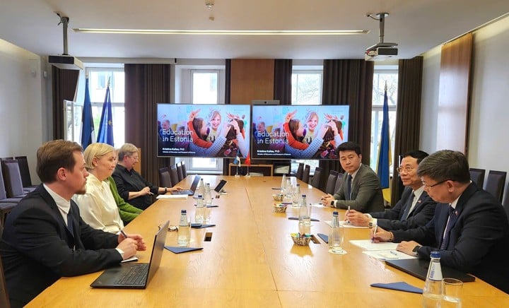 Việt Nam và Estonia tăng cường hợp tác về KHCN, ĐMST, CĐS - Ảnh 2.