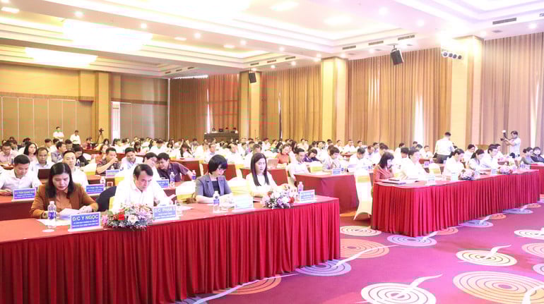 Các đại biểu dự hội nghị.