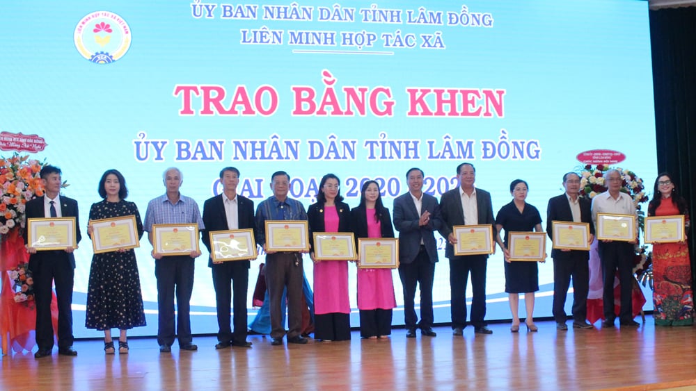 Các tập thể nhận Bằng khen của UBND tỉnh Lâm Đồng