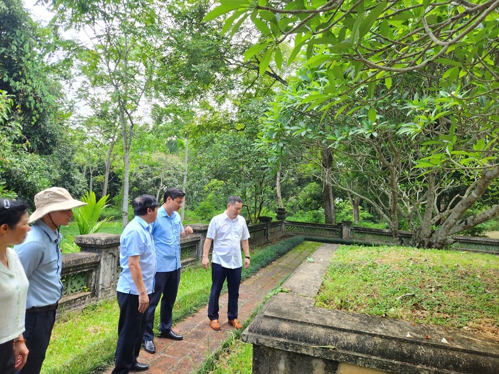 Bảo vệ di sản bằng tâm huyết và xã hội hóa - ảnh 2