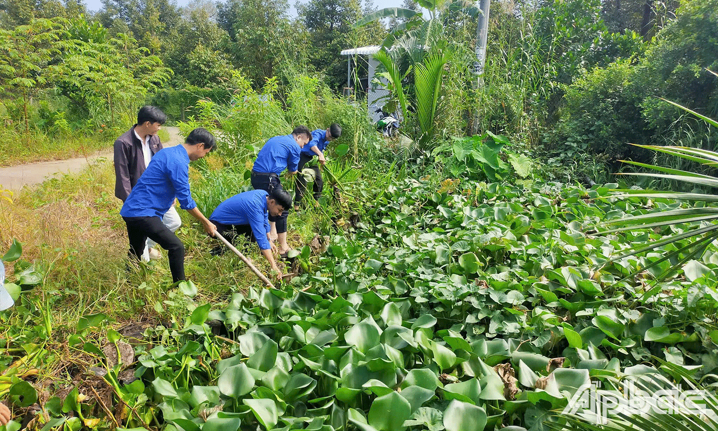 ĐVTN tham gia trục vớt lục bình các tuyến kênh, góp phần khơi thông dòng chảy