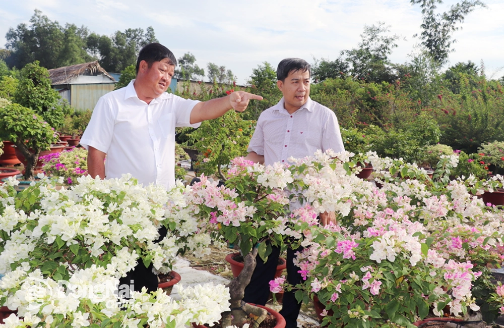 Ông Huỳnh Văn Hoàng (trái) chia sẻ kinh nghiệm trồng hoa, cây cảnh. Ảnh: A.Nhơn