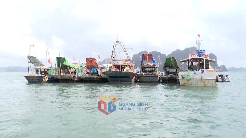 6 fishing boats of Quang Yen town were temporarily detained and processed by the authorities for storing and using prohibited fishing gear to rake clams in the Hon Net area on May 20, 2025.