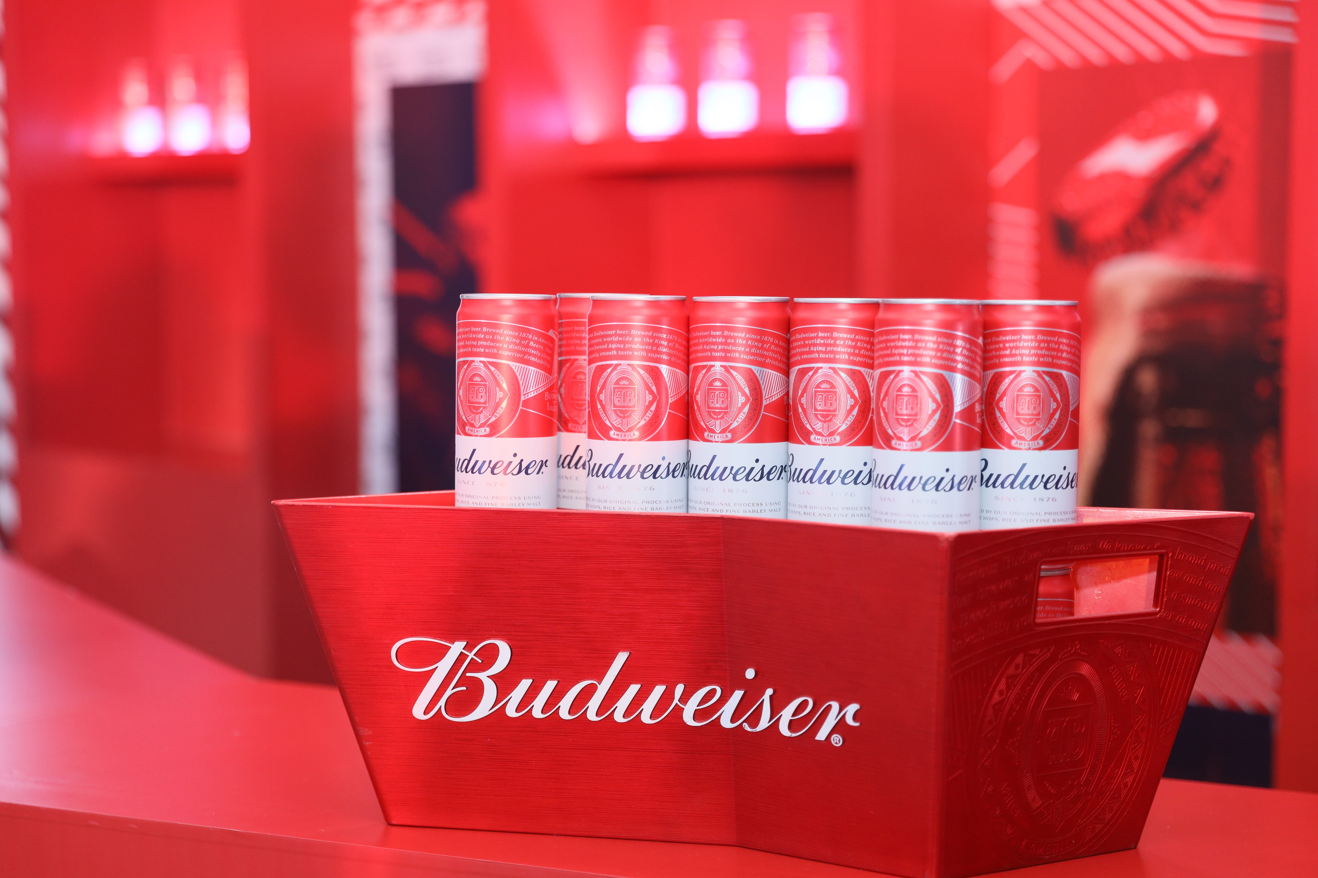 Nhà máy bia AB InBev kỷ niệm 10 năm thành lập tại Việt Nam - 2