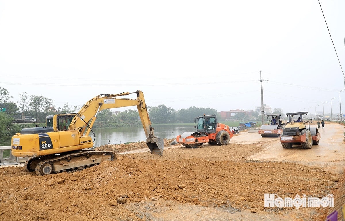 W_cai-tao-ql-6-ba-la-xuan-mai-3.jpg
