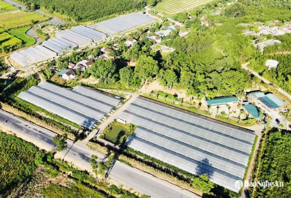 high-quality-technology-application-farm.-anh-hv.jpg